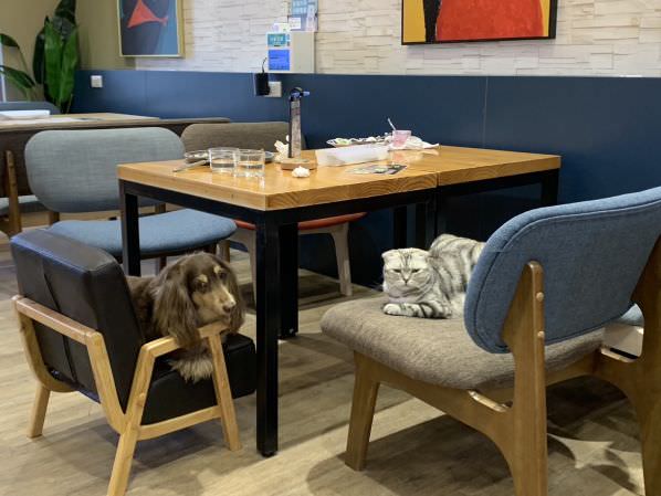 森林小徑文心店用餐环境